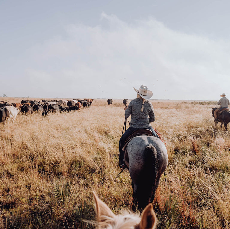 Man Riding A Horse